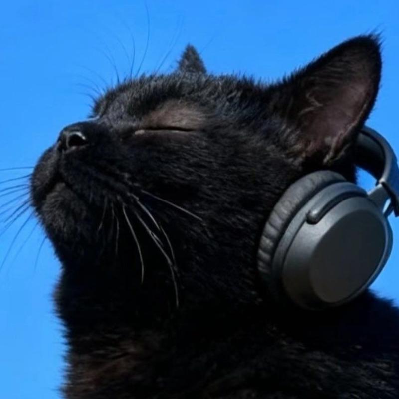 podcast-avatar