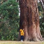 何以解忧唯有退休的可