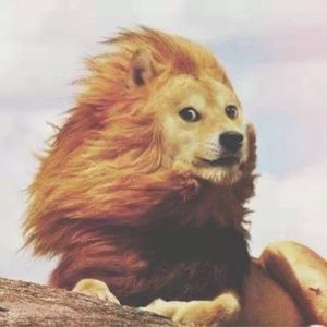 podcaster-avatar