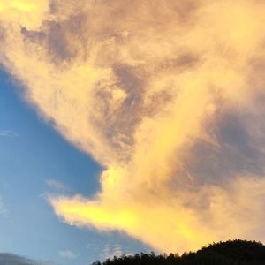 podcaster-avatar