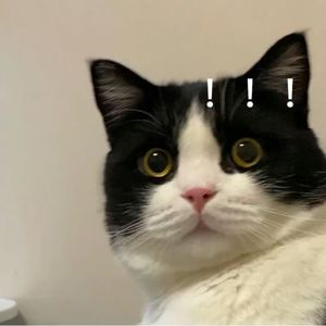 伙伴云ASO小课堂