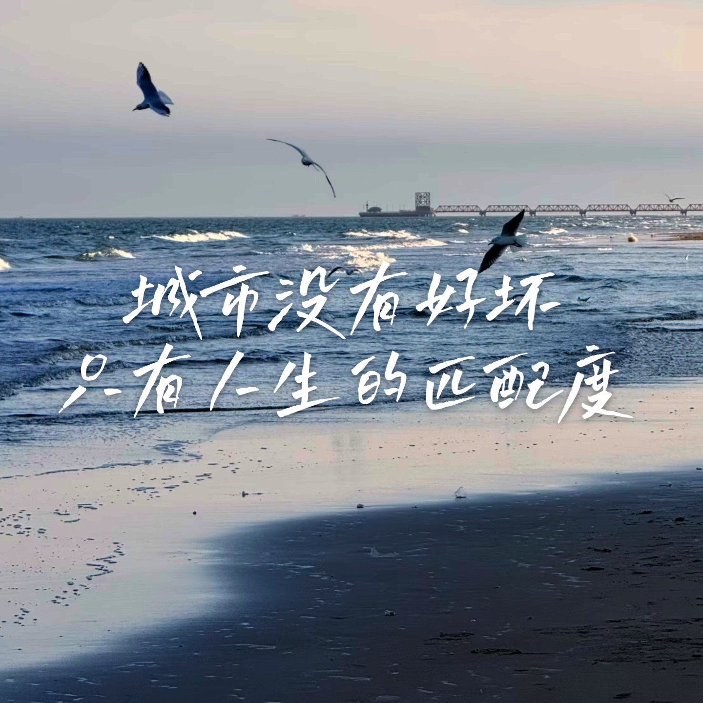 20 城市系列3 | 我们为什么离开了上海？ episode artwork