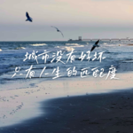 20 我们为什么离开了上海？沪/苏/杭三城生活对比