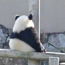 晓涵_wvhN