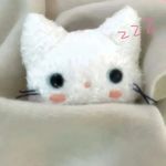 再来一勺蘑菇汤