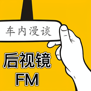 后视镜FM