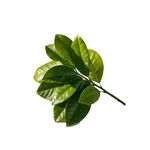 悬停的箭选择垂直