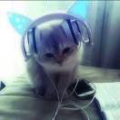 podcaster-avatar