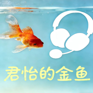 给自己的歌