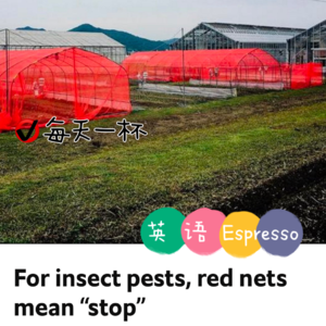 【182】治害虫？亮红色！