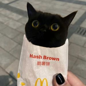 三脚猫青年1号机