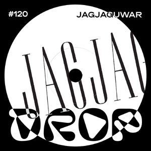 #120 Jagjaguwar