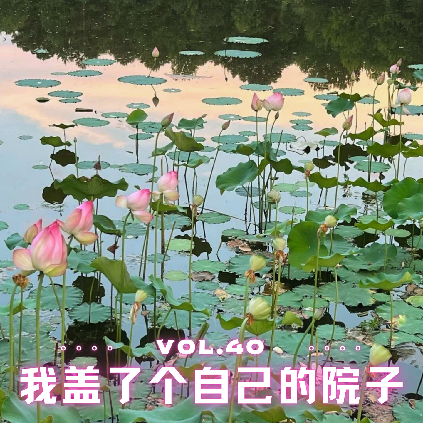 cover of episode Vol.40 我盖了个自己的院子