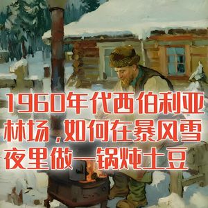 1960年的西伯利亚林场里，如何在暴风雪夜做一锅炖土豆？#助眠 #助眠故事 #睡前故事