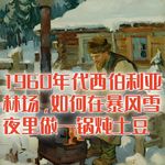 1960年的西伯利亚林场里，如何在暴风雪夜做一锅炖土豆？#助眠 #助眠故事 #睡前故事