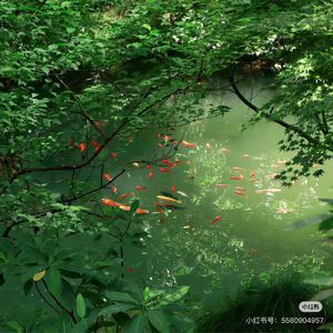 podcaster-avatar