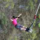 楊楊楊楊楊大仙