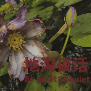 第三十五期:所谓树妖;人呢锁呢他们呢;荷花池边二三事