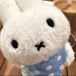 兔子可以吃
