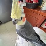 Eileen003