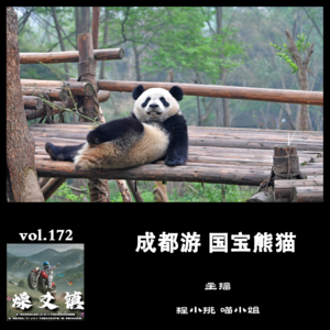 燥爻镇vol.172 成都游 国宝熊猫