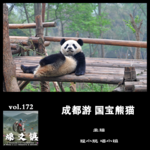 燥爻镇vol.172 成都游 国宝熊猫