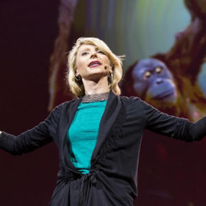 【双语TED】Your body language may shape who you are