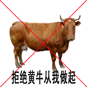5. 代购与黄牛,我们吃二次元周边的底线到底在哪里?
