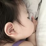 爱折腾的粘粘