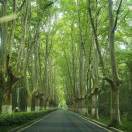 清风明月还诗债