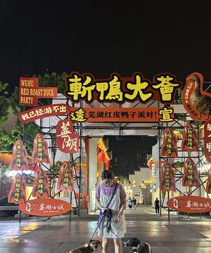 Vol.147 跟着宋姐去旅行之，安徽好吃好玩宠物友好怎么没人说！！！！