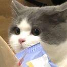 小一哇