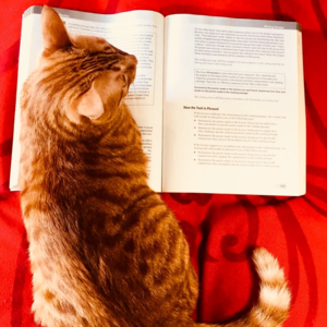 25.8.23雅思写作真题母语教师范文 | 男女服饰风格趋同现象的成因与影响