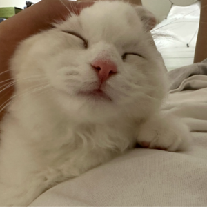 脱粉回踩bot的爆火之下，有多少粉丝经历过脱粉？而他们又是为何脱粉？