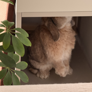 今年春节档电影怎么全是男频.. 📅 Jan.29