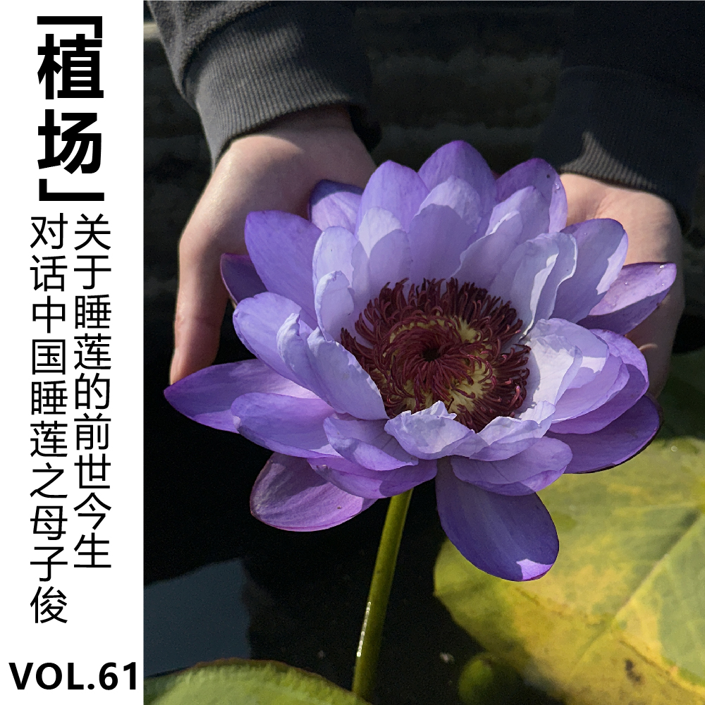 cover of episode Vol.61【植场】对话中国睡莲之母子俊，关于睡莲的前世今生