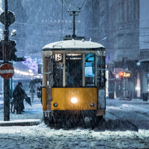 EP119 量化关税风险