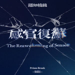 EP13｜视觉中心主义的陷阱