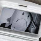 鱼不完整