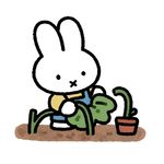 小牛的土豆球球