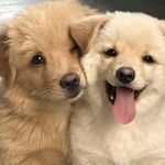 我已是一座流动的墓碑