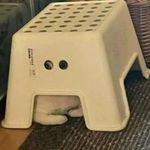 火中取栗-4254