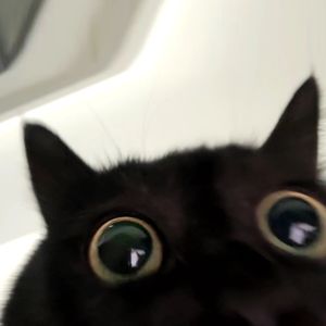 podcaster-avatar