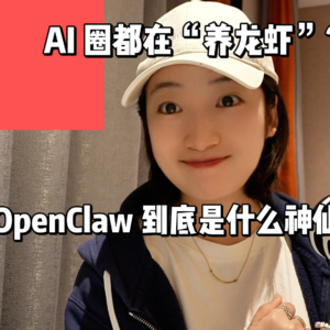 AI 圈都在“养龙虾”?OpenClaw 到底是什么神仙框架?