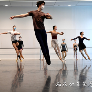 Vol011：华为故事 | 男女关系，公司要不要管