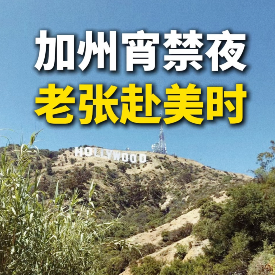 加州宵禁夜，老张赴美时 episode artwork
