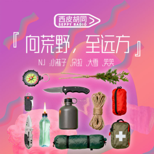 79.向荒野，至远方｜极限生存环境里，你能活过4小时吗？