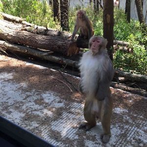 小乐的睡前故事