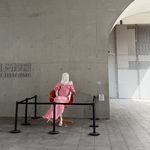 柏光