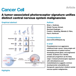 687-松果体母细胞瘤的起源与跨肿瘤感光特征研究